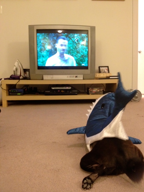 Watching The Walking Dead dressed in a shark costume. Zombies hate sharks.